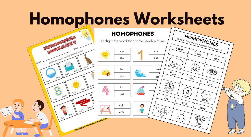 Homophones Worksheet
homophones with picture worksheets