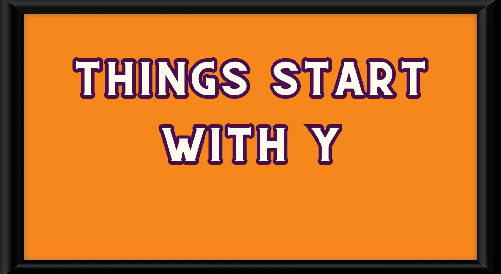 Things Starting With Y item that start with y